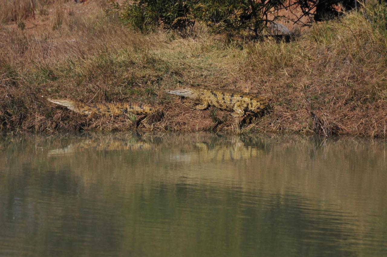 Mziki Safari Lodge Vaaldam Екстер'єр фото