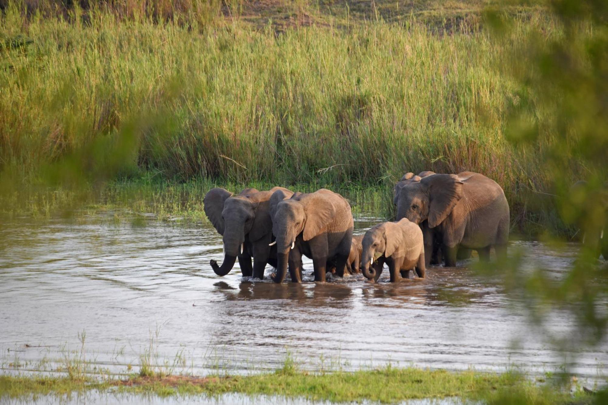 Mziki Safari Lodge Vaaldam Екстер'єр фото