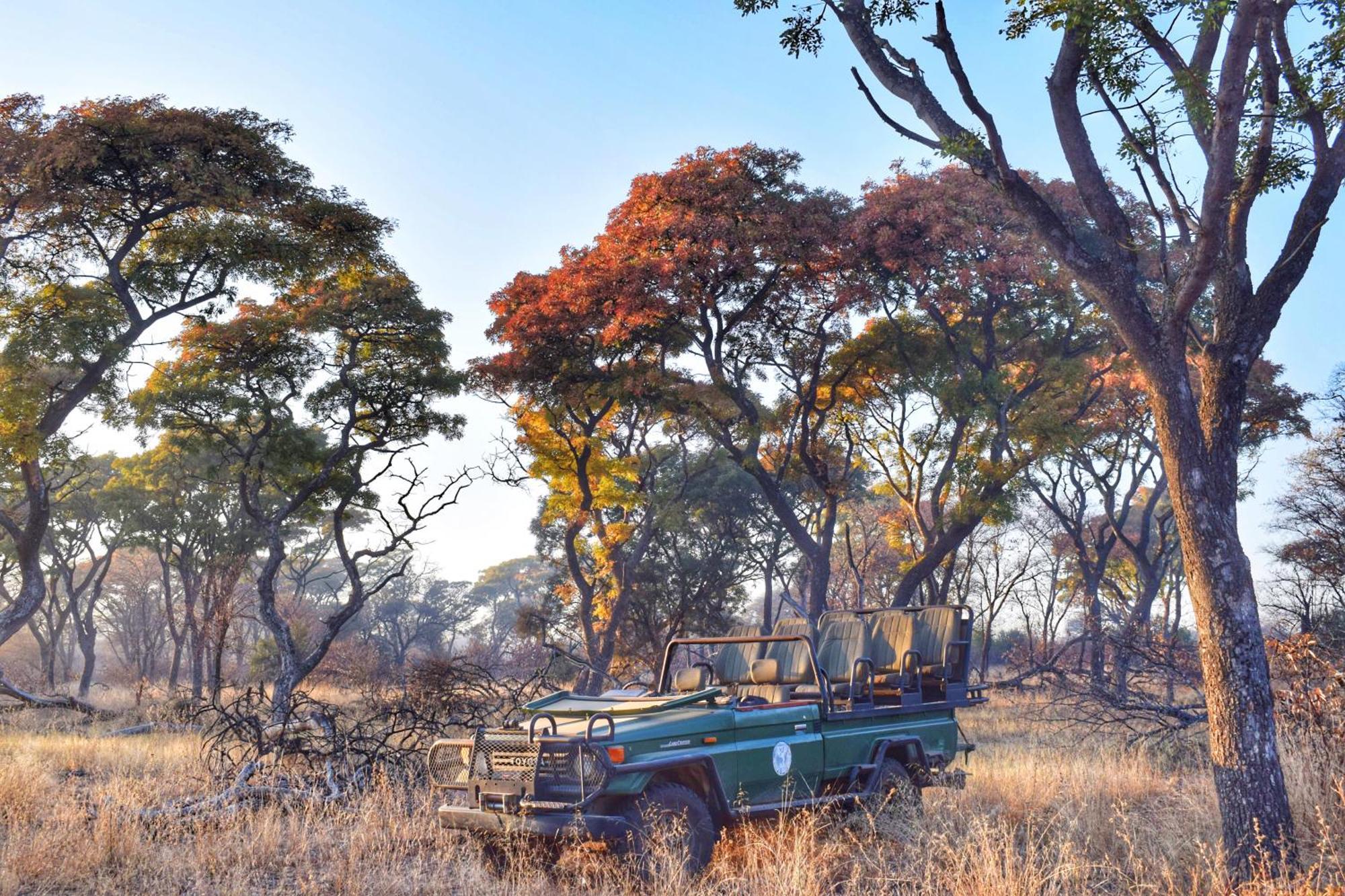 Mziki Safari Lodge Vaaldam Екстер'єр фото